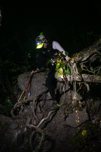 BIB: 
                            <button type="button" onclick="openModal(13604874)" class="btn btn-primary btn-sm float-right btn-popup" data-toggle="modal" data-target=".modal-high-quality">
                        <i class="fas fa-shopping-cart"></i> Add to Cart
                    </button>
                                            <button type="button" onclick="isThisMe(13604874, true)" class="btn btn-success btn-sm float-right btn-popup btn-isme hidden" data-toggle="tooltip" data-placement="bottom" title="นี่คือรูปของคุณใช่ไหม คลิกที่นี่เพื่อเอาเข้าอัลบั้ม">
                        <i class="fas fa-plus"></i> Add to album
                    </button>
                    <button type="button" onclick="isThisMe(13604874, false)" class="btn btn-warning btn-sm float-right btn-popup btn-isnotme hidden">
                        <i class="fas fa-ban"></i> Remove from album
                    </button>